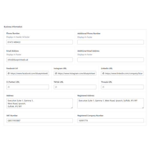 Example website contact information form layout for web development brief